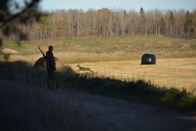 04.11.2018 kalev laast 002
