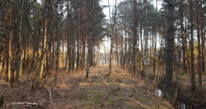 Kogutakse läbi aegade parimaid looduskaitselugusid