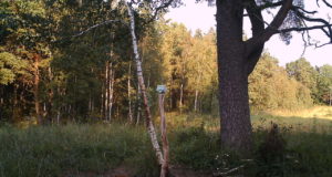 Ilvesejaht Baltimaades tekitab küsimusi