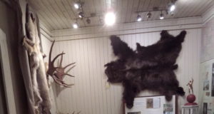 Jahindusühistu Gun&Shot korraldas loodusharidusliku näituse