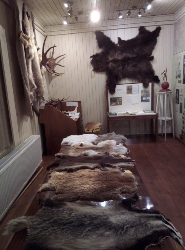 gunjashot näitus (3)