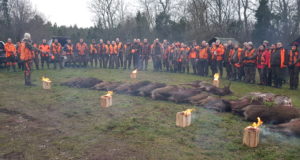 Kolmekuninga jahid Saaremaal