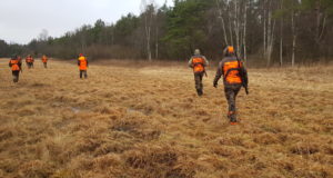 Saaremaa alustab jahikursusega märtsis