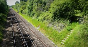 Rail Baltica raudteelõikudel hakatakse keskkonnamõju hindama