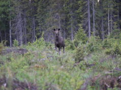 Jahiulukite käitlemiskoha investeeringutoetuse infopäev