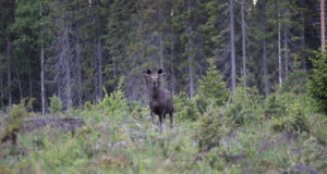 Jahiulukite käitlemiskoha investeeringutoetuse infopäev