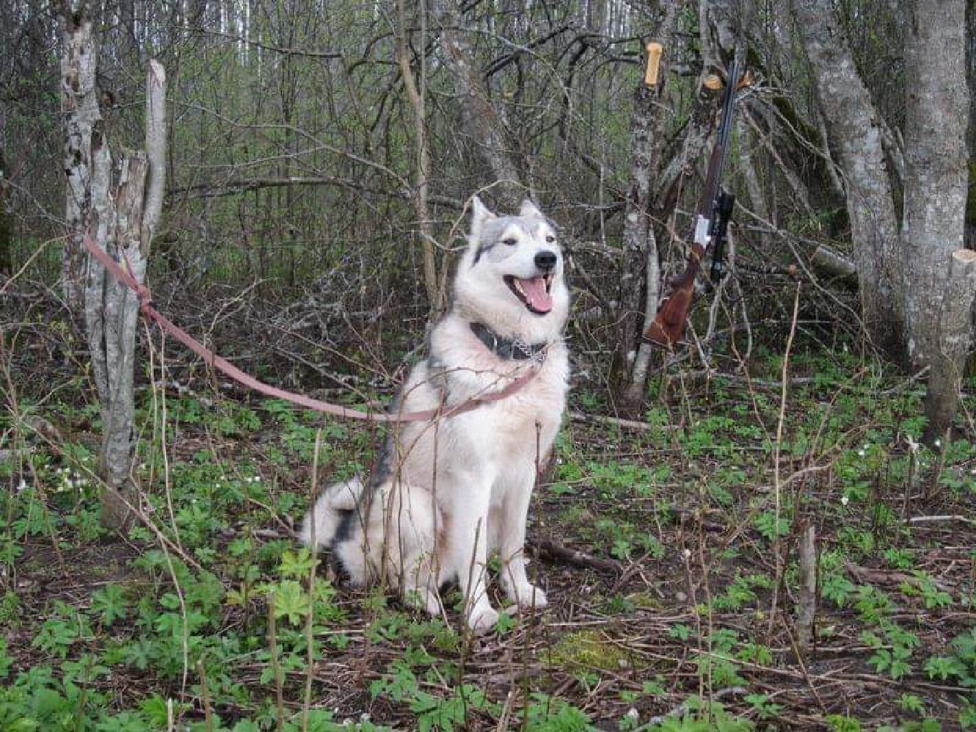 84910811_10157147333284385_8901254373032591360_n