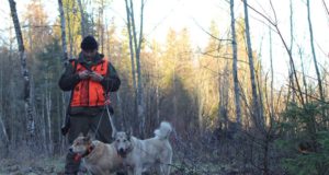 GALERII: koeraga karantiinis