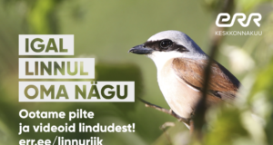 ERR ootab linnusõpradelt pilte ja videoid