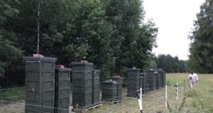 Ida-Virumaal on ulukikahjud suhteliselt väikesed