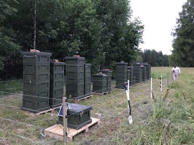 Mullu rajatud eeskujulik kiskjakahjude ennetusaed mesila ymber Valgamaal. Foto Mihkel Pastik