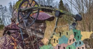 Vibukütid pidasid jahti koprale