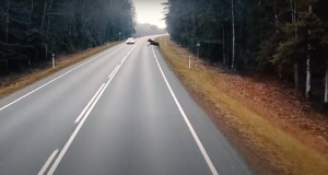 Loomadega liiklusõnnetused on aasta-aastalt suurenenud