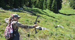 Leedu soovib lubada vibuga küttimist