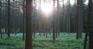 Heakskiidu saanud jahipiirkondade arv ületas maagilise 50% piiri