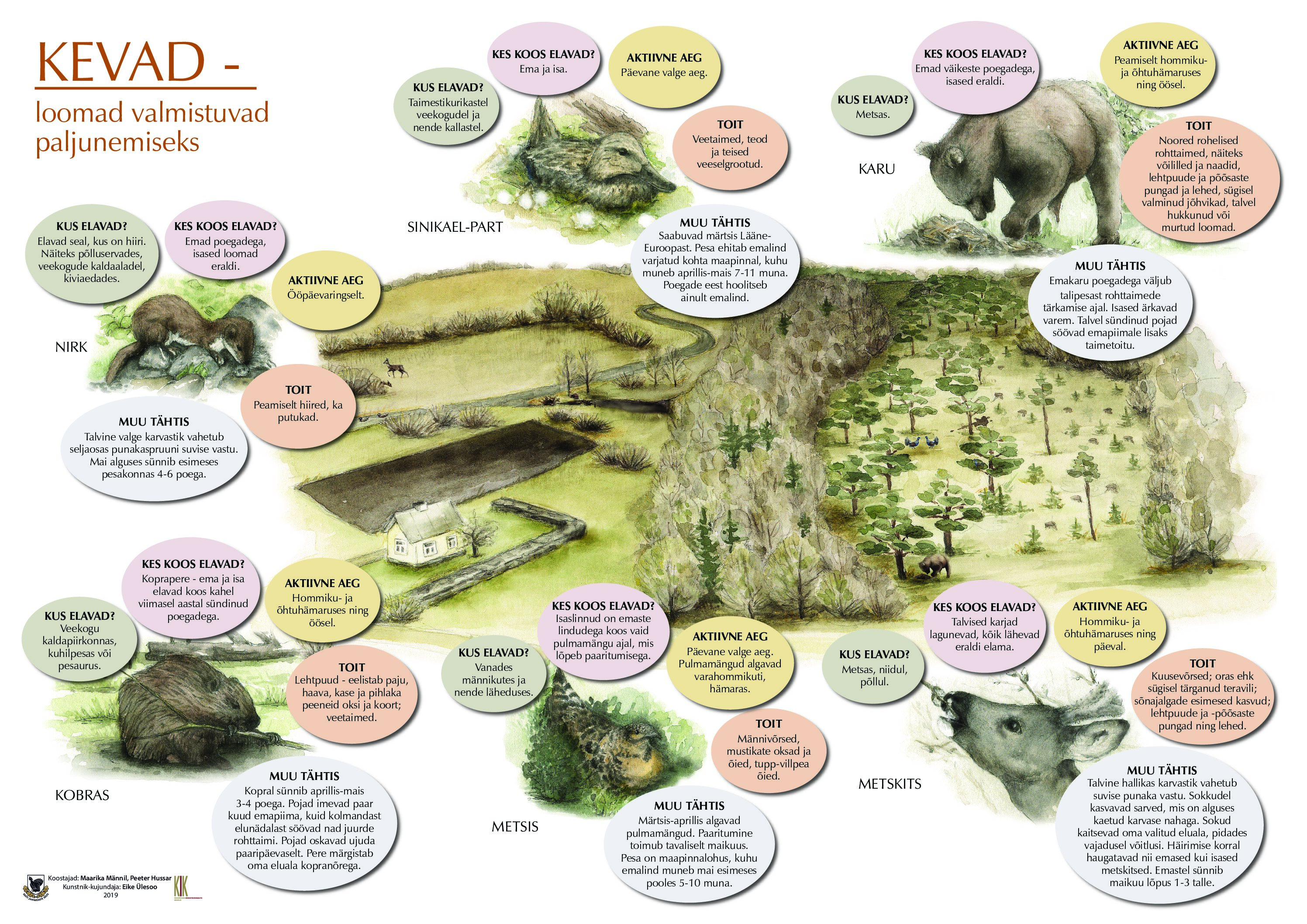 loomade-aastaring-KEVAD