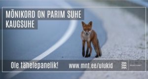 Maanteeamet juhib tähelepanu teele sattuvatele metsloomadele kampaaniaga „Mõnikord on parim suhe kaugsuhe“