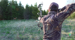 Vibuga metsas küttimine kogub aina enam populaarsust