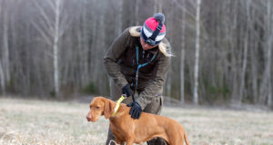 EJ 3/2020: Seisukoerte põllutreeningud Jõgevamaal