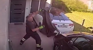 Tammelinnas aeti kitse taga