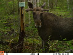 Jahindusnõukogude kokkulepped 2023 aasta jahihooaja eel