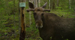 Jahindusnõukogude kokkulepped 2023 aasta jahihooaja eel