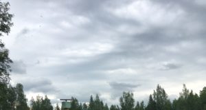 Põlgaste jahimehed rajavad söödapõldu