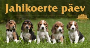 Palmse jahikoerte päev jääb ära
