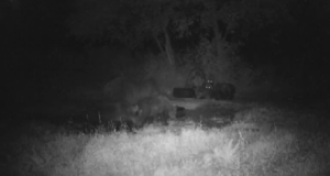 Jahimeeste loendusandmed muutuvad täpsemaks