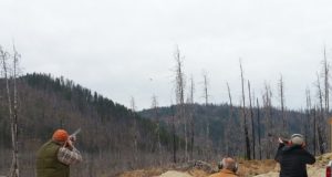 Viidike Compak Sporting juulis avatud ka neljapäevadel