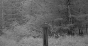 PILTUUDIS: Põrsastel algab elukool