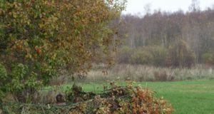 Meeldetuletused algavaks veelinnujahi hooajaks