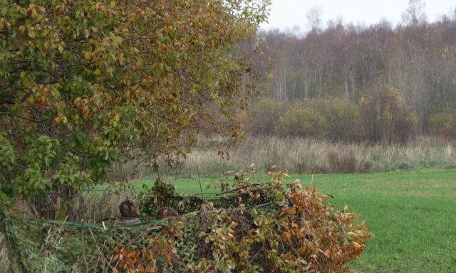 Linnujaht, jahimehed varjendis