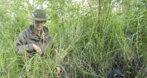 EJ 4/2020: Kaks sajandit taksikoertega