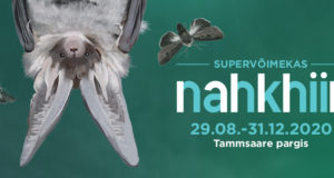 Eesti Loodusmuuseum avab Tammsaare pargis aasta looma näituse