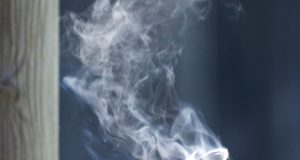 Männiku lasketiir kutsub jahiseltse laskepäevasid korraldama!