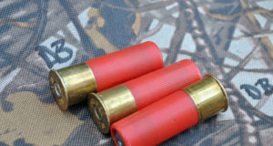 FACE kinnitas positsiooni pliihaavlite kasutamise kohta