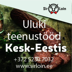 SirLoin_ulukiteenus_50x50