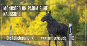 Ettevaatust – uuel Tartu maanteel on tihe põdraliiklus