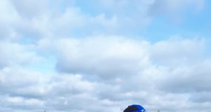 9eurone vidin hoiaks jahimeeste väitel ära hulga liiklusõnnetusi loomadega