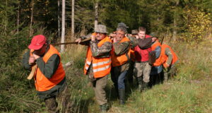 Vikerraadio uuris ajujahi kohta