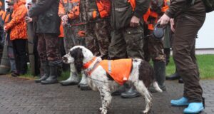 Keskkonnainspektsiooni seisukoht jahikoera tõugu tõendava dokumendi kohta