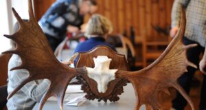 Maarja Jahikoda otsib jahitrofeesid!