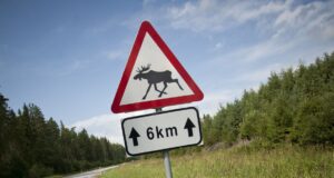 Ootame ettepanekuid! Ulukite eest hoiatava liiklusmärgi nr 178 kasutamine