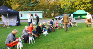 Algab jahikatsekohtunike põhikursus (täiendatud)