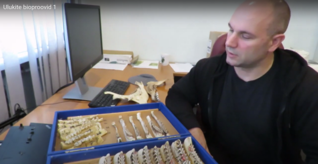ulukite bioproovid