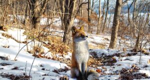 Lahtiolek pühade ajal.