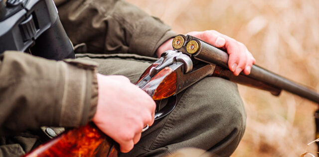 lead_ammunition_wetland