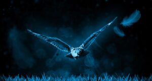 Toimus laskevõistlus “Viidike Videvikukütt”