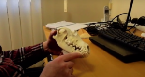 Keskkonnaagentuur avaldas õppevideod